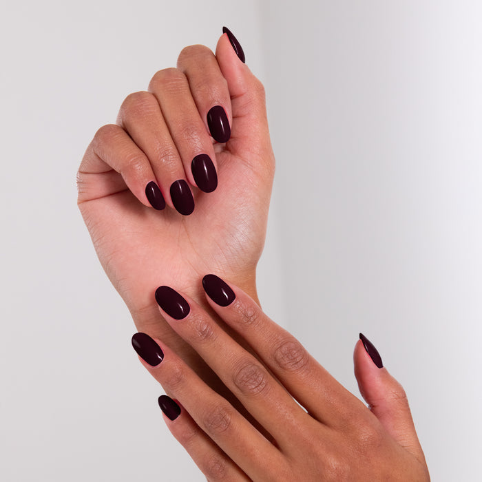 LACQWEAR™ - 07 EMPEROR