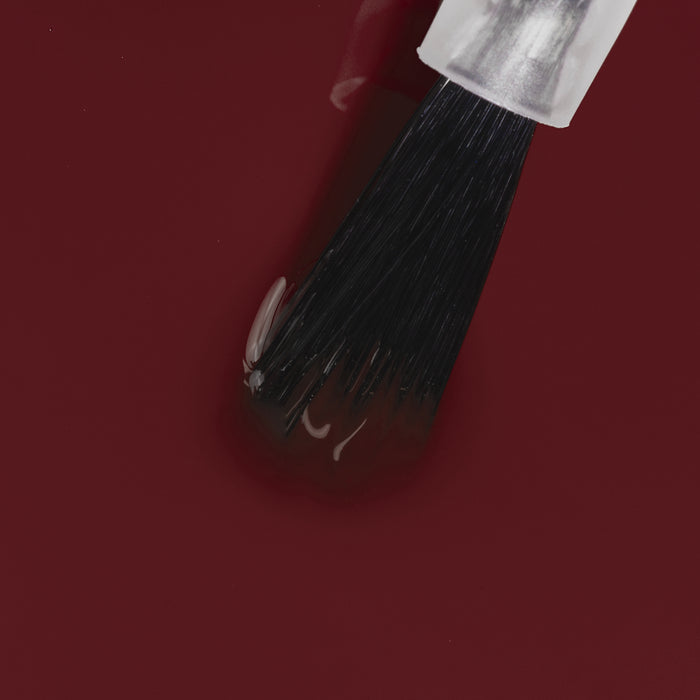 LACQWEAR™ - 170 PLUMAGE