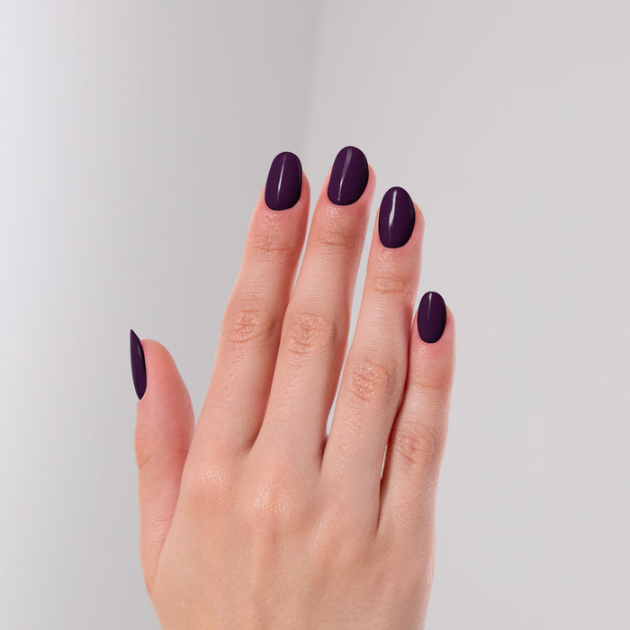 LACQWEAR™ - 210 WALK OF FAME