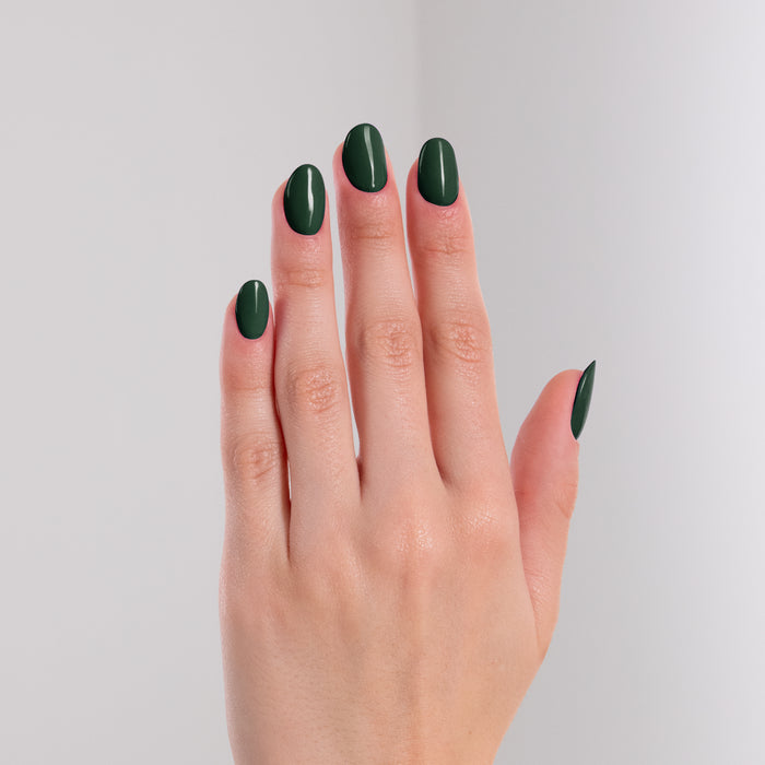 LACQWEAR™ - 211 GUEST STAR