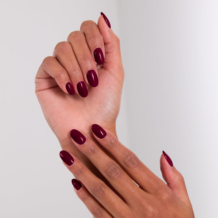 LACQWEAR™ - 231 EXTRAVAGANZA