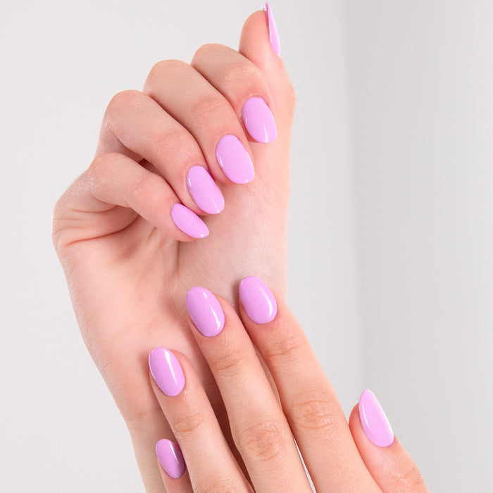 LACQWEAR™ - 288 WISTERIA LANE