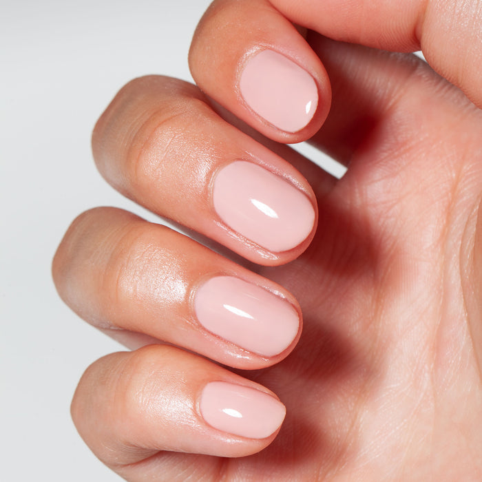 RUBBER BASE 105 - Organza