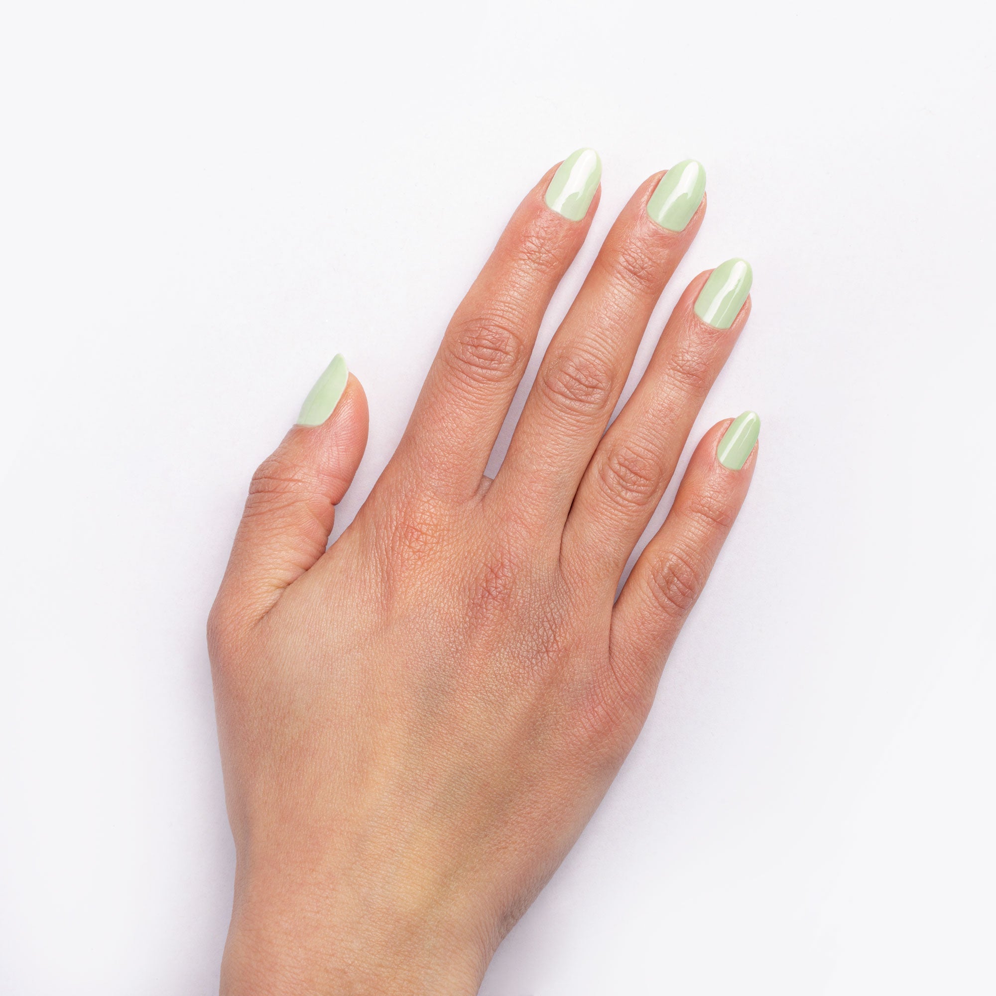 245 PASTEL LIME